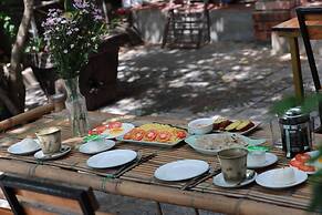 Hillside Homestay Hue - Meditation Studio