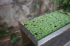 Hillside Homestay Hue - Meditation Studio