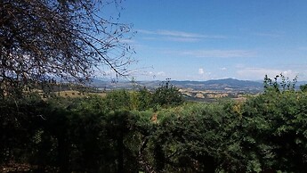 House, Villa - Polveraia, Scansano, Grosseto