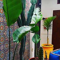 Riad Heklek- Essaouira Breakfast Included