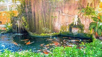 NorthVille Beach Resort powered by Cocotel