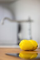 Four Seasons Apartment by Renters