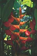 La Casa de Piedra By Rotamundos