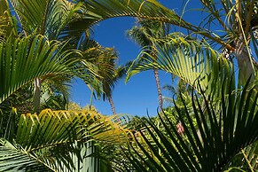 Aina Nalu 2bd/2ba 2 Bedroom Condo by Redawning