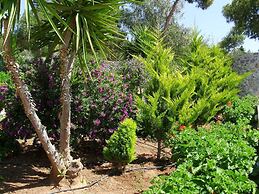 Feels Like Your Home at Ermioni