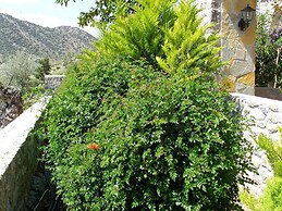 Feels Like Your Home at Ermioni