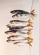 Casa das Quatro Cabeças