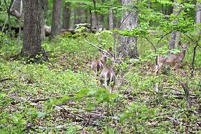 River Walk Cottage - Romantic Escape