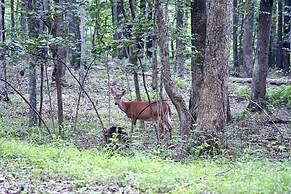 River Walk Cottage - Romantic Escape