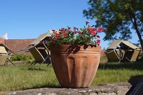 Hotel Villum