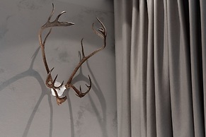 Lapland Hotels Arena