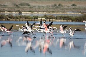 Palazzo Gatto Art Hotel & SPA, BW Premier Collection