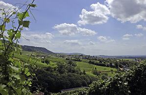 Holiday Inn Express Offenburg by IHG