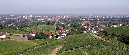 Holiday Inn Express Offenburg by IHG