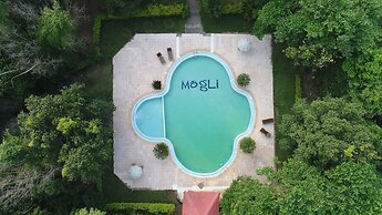 Mogli Jungle Resorts Bandhavgarh