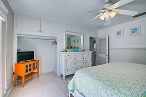 Driftwood Beach Oasis