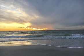 Minorga Sand Dollar on the Key