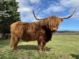 Glampods - 5 Berth Glamping Pod Elgin