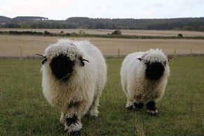 Glampods - 5 Berth Glamping Pod Elgin