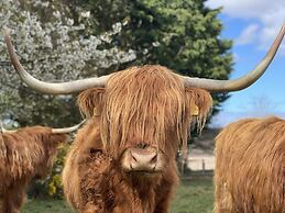 Glampods - 5 Berth Glamping Pod Elgin