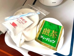 Hotel Robinson INN Ryukyu Tabikan MW1