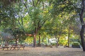 Camping Dafna - By Travel Hotel Chain