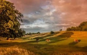 Charming 2-bed Cottage on Outskirts of Beverley