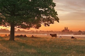 Charming 2-bed Cottage on Outskirts of Beverley