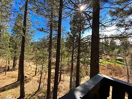 Timbers 15 Private Hot Tub, 2 Car Garage, Washer Dryer, Large Townhous