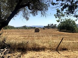 Charming 5-bed Villa in Pitigliano Tuscany