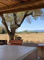 Charming 5-bed Villa in Pitigliano Tuscany
