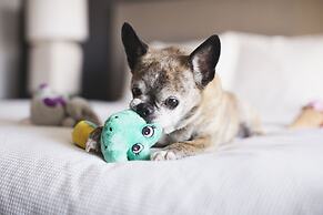 Hyatt House Lewes/Rehoboth Beach