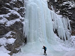 One Studio with BBQ & a Huge Patio