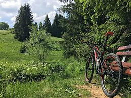Ferienhaus Bikehütte Rehnhäusl