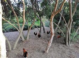 Benalmadena Studios Vacation Rentals