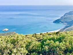 Villa Of Cedars Spirit, Garden Pool