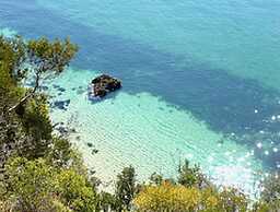 Villa Of Cedars Spirit, Garden Pool