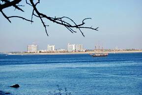 Villa Of Cedars Spirit, Garden Pool