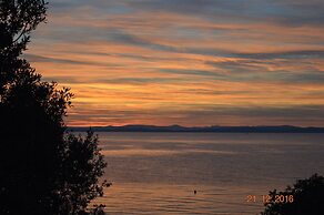 Welcome to Apartmen Palatisa