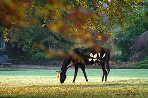 Luxurious Apartment in a Grade II 'listed Estate'