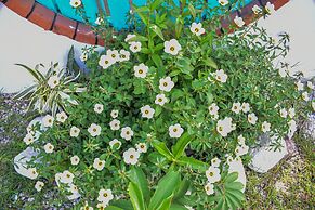 Tramonto ROJO Santa Teresa Guest House