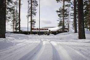 Hotelli Mesikämmen Oy