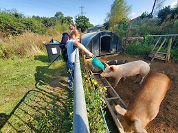 Dartmoor Reach Alpaca Farm