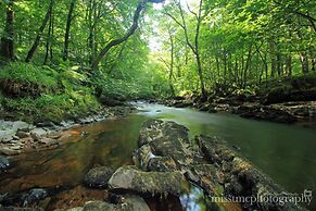Dartmoor Reach Alpaca Farm