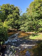 Dartmoor Reach Alpaca Farm