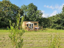 Dartmoor Reach Alpaca Farm