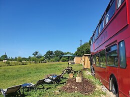 Dartmoor Reach Alpaca Farm