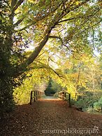 Dartmoor Reach Alpaca Farm