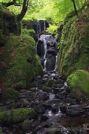 Dartmoor Reach Alpaca Farm