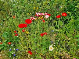 Dartmoor Reach Alpaca Farm